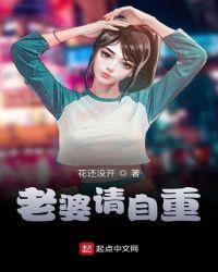 老婆请复婚免费阅读