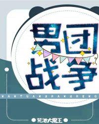 男团战争简介