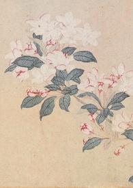 [古代