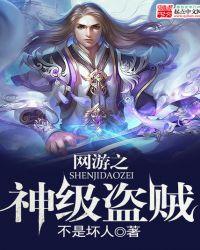 网游之神偷盗圣