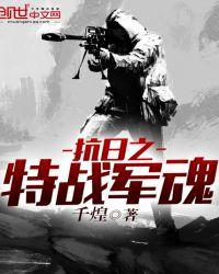 抗日之特战军魂电视连续剧免费观看
