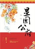 显国公府讲什么