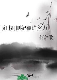 侧妃侍妾