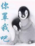 你罩我吧 晋江