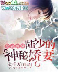 金主难为陆琛