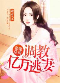 恶魔总裁追逃妻