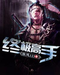 终极高手介绍