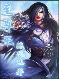 至尊王婿短剧