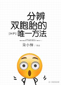 hp分辨双胞胎的唯一方法txt