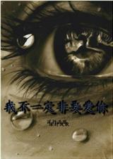 歌词我不是一定要你回来