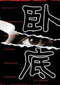 卧底洪小姐韩剧
