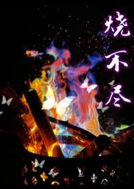 烧不尽结局