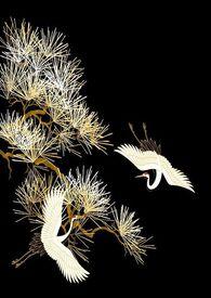 西京烬余录by槛外江