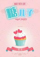 糖二代娱乐圈TXT电子书