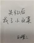 失忆后成了小白菜全文阅读
