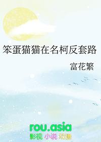 笨蛋猫表情包