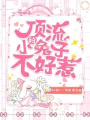 顶流的小兔子不好惹免费阅读