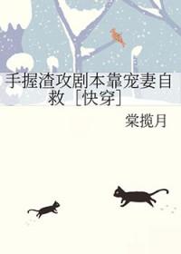 大佬他总是想橹我