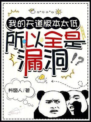 所以全是漏洞在线阅读免费完整版