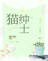 绅士猫图片大全