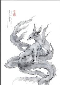古言npr文