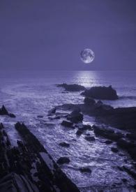 暗夜守护者开端