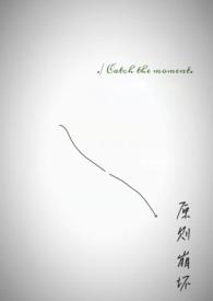 原则崩坏by乌鱼不高兴txt