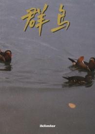 群鸟叫是什么预兆