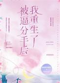 分手后我被前男友倒追了