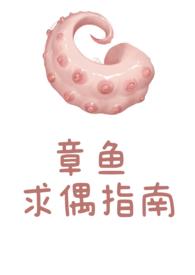 章鱼求偶指南晋江