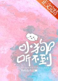 小狗听不到by杨明夜免费阅读全本