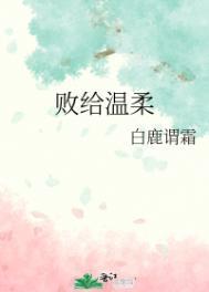 败给温柔短剧热播