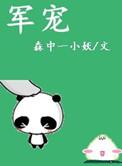 军宠文完结篇