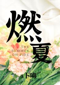 燃夏(男暗恋女)全文阅读_卜鸣