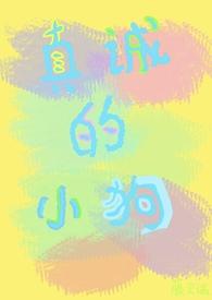 真诚的你