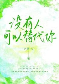 没人可以替代你英文