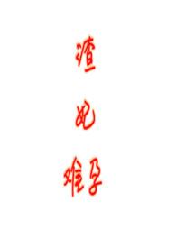 渣王作妃百科