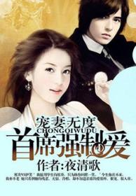 宠妻无罪首席医生