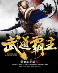 武道霸主罗峰第二部