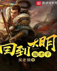 回到大明当才子电视剧