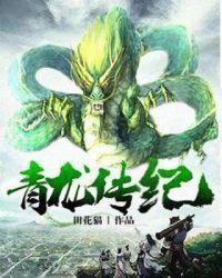 青龙传安卓攻略