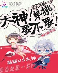 大神与菜鸟