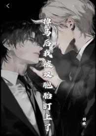 掉马后我成了宠妃无弹窗