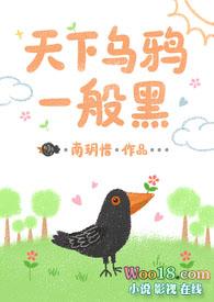 天下乌鸦一般黑下联