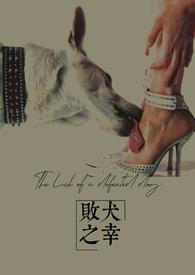 败犬的意思