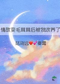 情敌变成我的猫怎么办 百度
