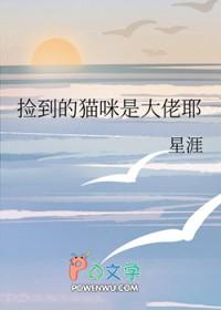 捡到了猫