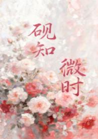 砚示志文言文翻译