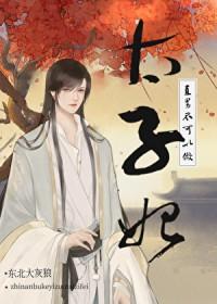 直男不可以做太子妃盘