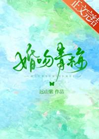 婚吻青梅by远山紫txt